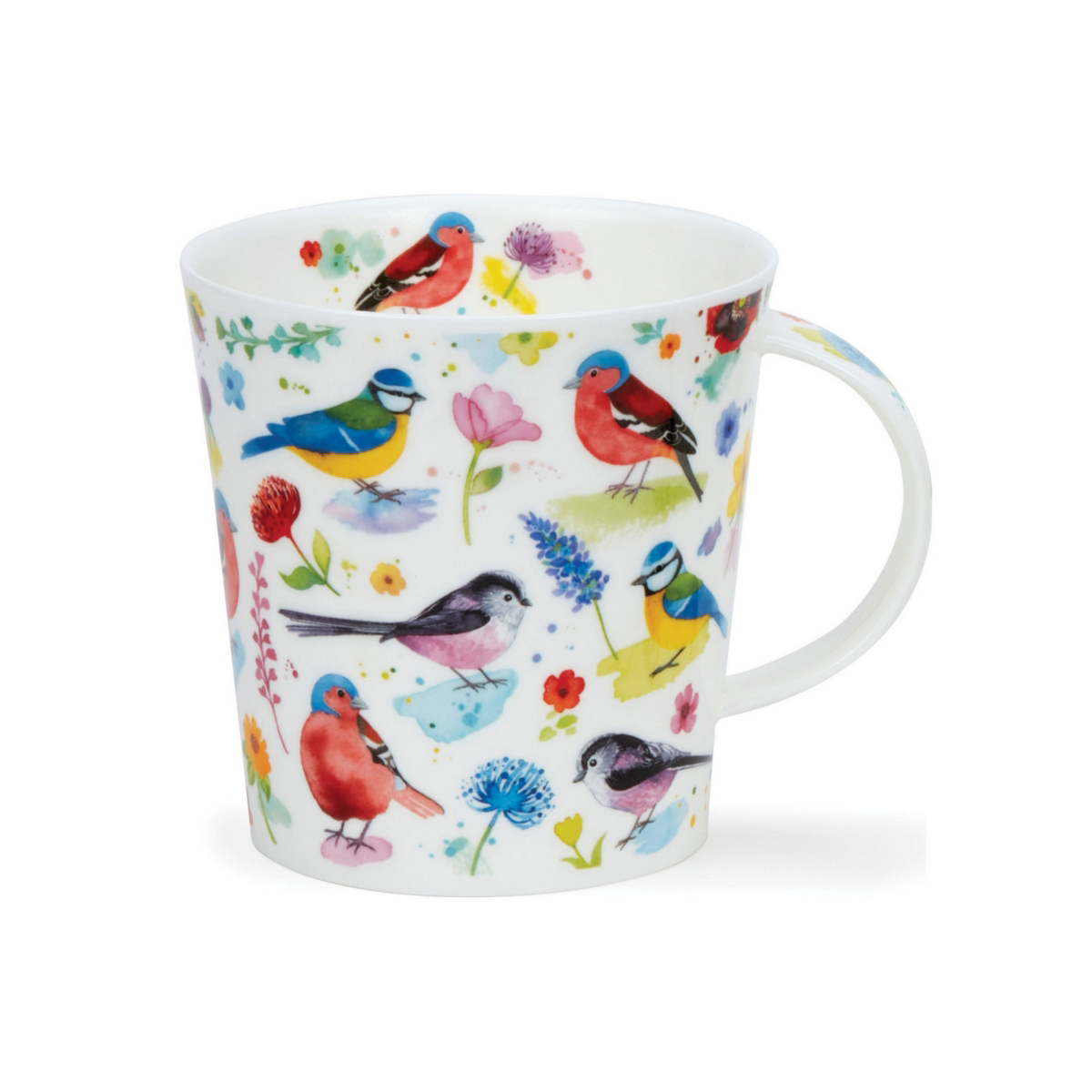 Cairngorm Dawn chorus Bluetit